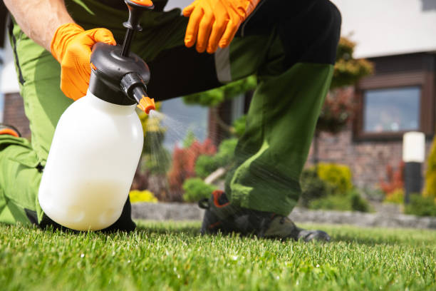 Best Pest Control Treatment  in Darlington, SC