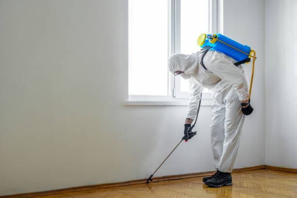 Pest Prevention Services in Darlington, SC