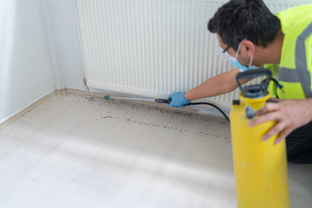 Best Bed Bug Extermination  in Darlington, SC