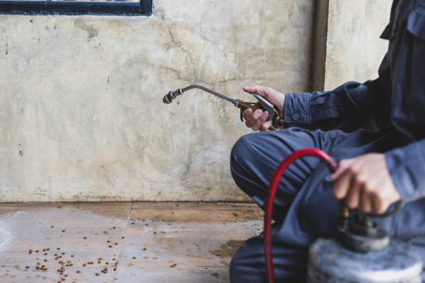 Best Exterminator Services  in Darlington, SC