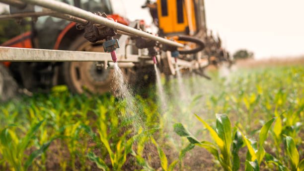 Best Wildlife Control Services  in Darlington, SC